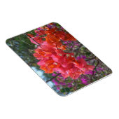 Tropical Pink Bougainvillea Island Floral マグネット (右側)