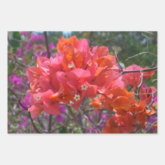 Tropical Pink Bougainvillea Island Floral ラッピングペーパーシート (正面)