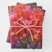 Tropical Pink Bougainvillea Island Floral ラッピングペーパーシート (インサイチュ)