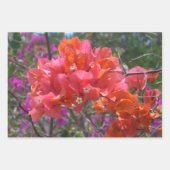 Tropical Pink Bougainvillea Island Floral ラッピングペーパーシート (正面3)