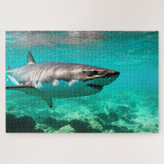 Tropical Predator: Great White Shark ジグソーパズル