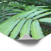 Tropical Rainforest Poster ポスター (角)