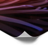 Tropical Reef Full of Marine Life ポスター (角)