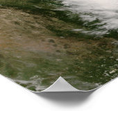 Tropical Storm Dolly ポスター (角)