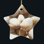 Tropical Sunny Exotic Sea Shells セラミックオーナメント<br><div class="desc">Tropical Sunny Exotic Sea Shells</div>