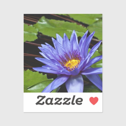 Tropical Waterlily Postcard シール (シート)