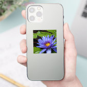 Tropical Waterlily Postcard シール (スマートフォン)