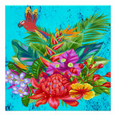 TropiColorフュージョンMacaw & Serenade ポスター (正面)