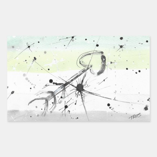 TROS Aromanttic (Aro)プライド国旗のシール 長方形シール (正面)