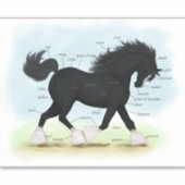 Trotting Shire Horse Equestrian解剖図 シール (正面)