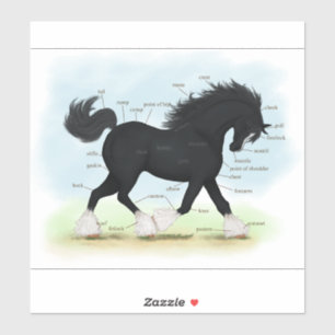 Trotting Shire Horse Equestrian解剖図 シール