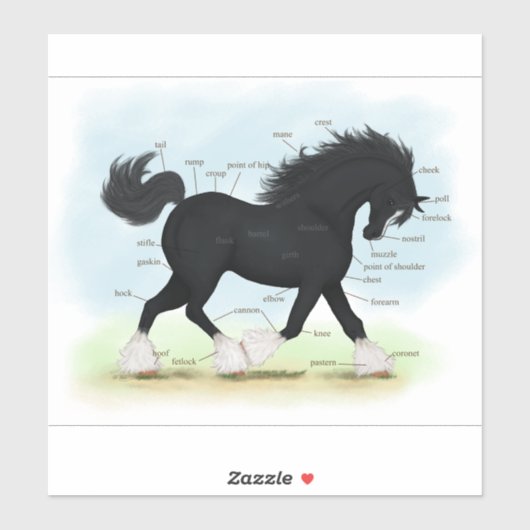 Trotting Shire Horse Equestrian解剖図 シール (シート)