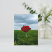 Trotz allem rot – Mohnblume im Grünen Postkarte ポストカード (スタンド正面)