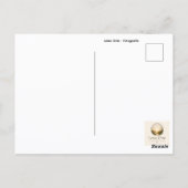 Trotz allem rot – Mohnblume im Grünen Postkarte ポストカード (裏面)