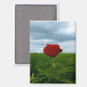 Trotz allem rot – Rote Mohnblume Magnet マグネット (正面/裏面)