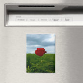 Trotz allem rot – Rote Mohnblume Magnet マグネット (インサイチュ (食洗機))