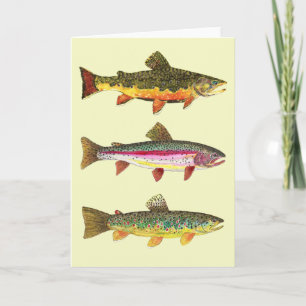 Trout Fly Fishing シーズンカード