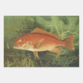 Trout, Red Snapper, California Salmon by Kilbourne ラッピングペーパーシート (正面2)