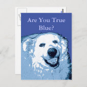 True Blue Dog Democratはがき ポストカード (正面/裏面)