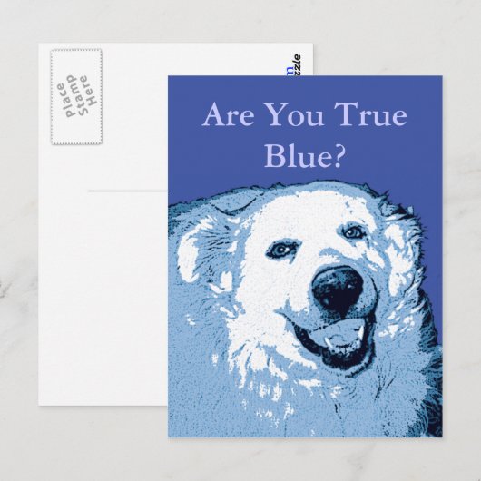 True Blue Dog Democratはがき ポストカード (正面/裏面)