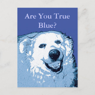True Blue Dog Democratはがき ポストカード