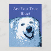 True Blue Dog Democratはがき ポストカード (正面)
