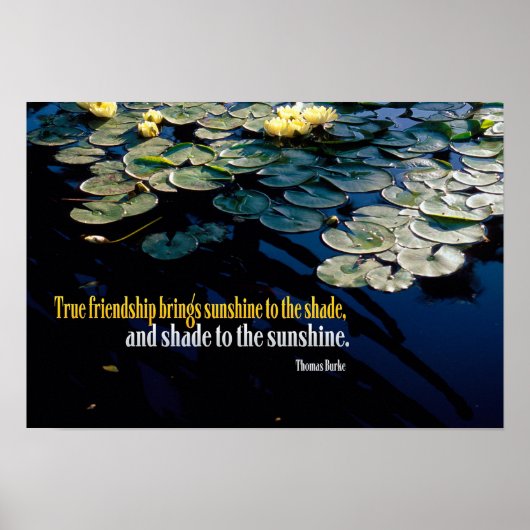 True Friendship ポスター (正面)