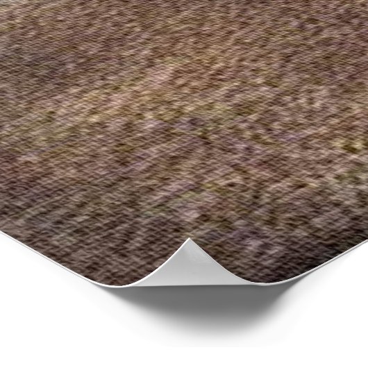 TRUE LOVE子猫アートポスター ポスター (角)