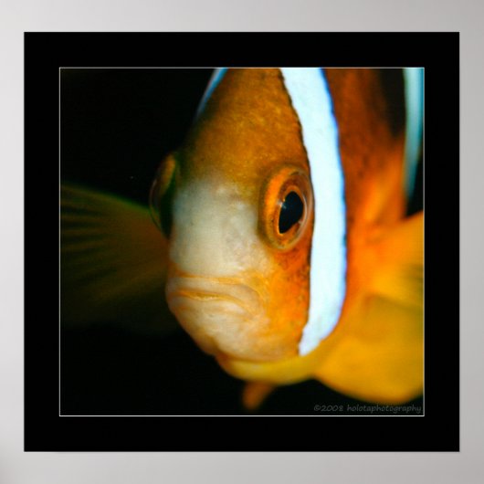 Truk Yamagiri Maru 009bbcr ポスター (正面)