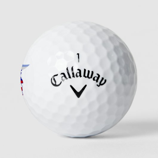 Trump 45-47 Golf Balls ゴルフボール (ロゴ)