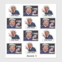 Trump did it 12 sticker sheet シール