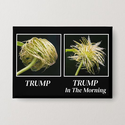 Trump Hair 缶バッジ (正面)