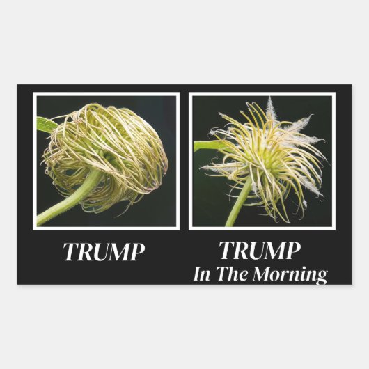 Trump Hair 長方形シール (正面)