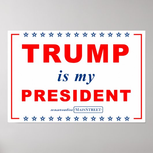 TRUMP is my PRESIDENT (RWB) Rally Sign ポスター (正面)