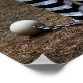 Trump Jail Poster ポスター (角)