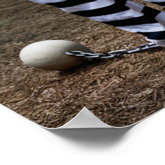 Trump Jail Poster ポスター (角)