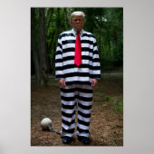 Trump Jail Poster ポスター (正面)