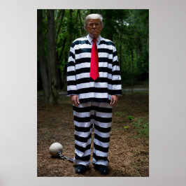Trump Jail Poster ポスター