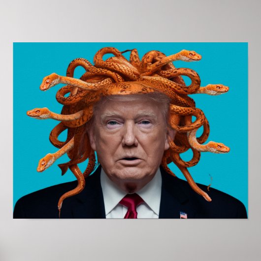 Trump Medusa Poster ポスター (正面)