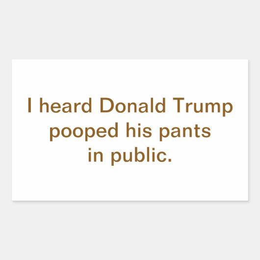 Trump Pooped His Pants Public Hankamer Artjunkhaus 長方形シール (正面)