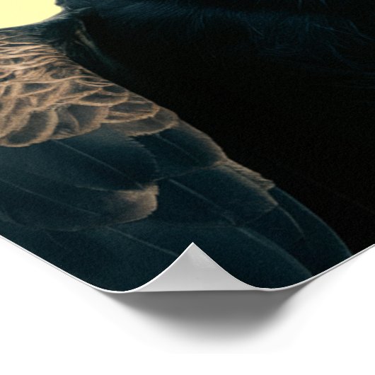 Trump Vulture Poster ポスター (角)