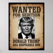 Trump Wanted Poster ポスター (正面)