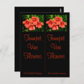 Trumpetつる植物ブックマークはがき ポストカード (正面/裏面)