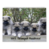 Trumpet Keeshondカレンダー2012 カレンダー (カバー)