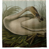 Trumpeter Swan - Audubon's Birds of America Sより シャワーカーテン (正面)