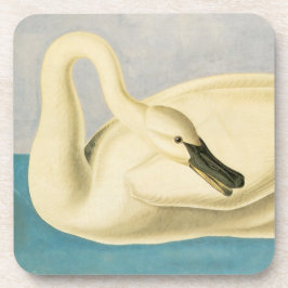Trumpeter Swan by John James Audubon, Birdヴィンテージ コースター