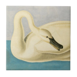 Trumpeter Swan by John James Audubon, Birdヴィンテージ タイル