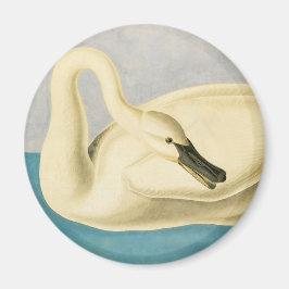 Trumpeter Swan by John James Audubon, Birdヴィンテージ マグネット