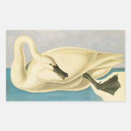 Trumpeter Swan by John James Audubon, Birdヴィンテージ 長方形シール
