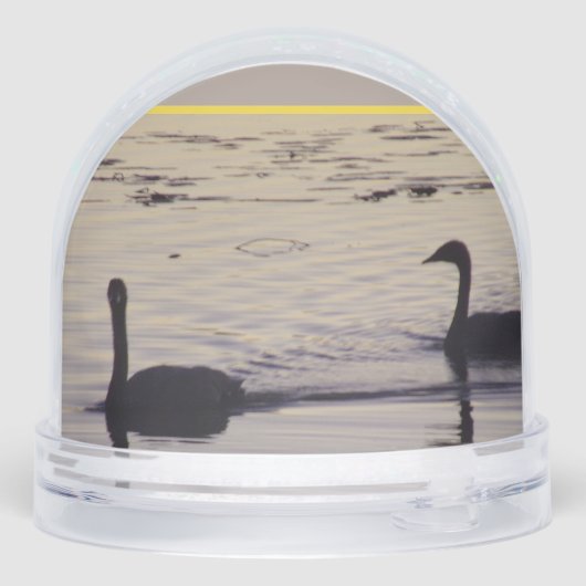 Trumpeter Swans at Dusk Snow Globe (裏面)